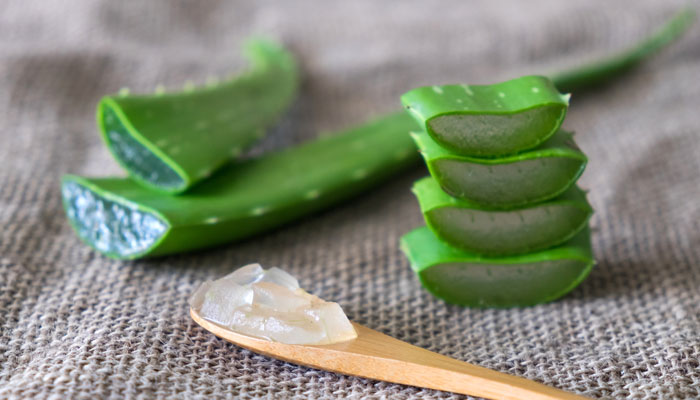 Aloe Vera For Pregnancy Stretch Marks